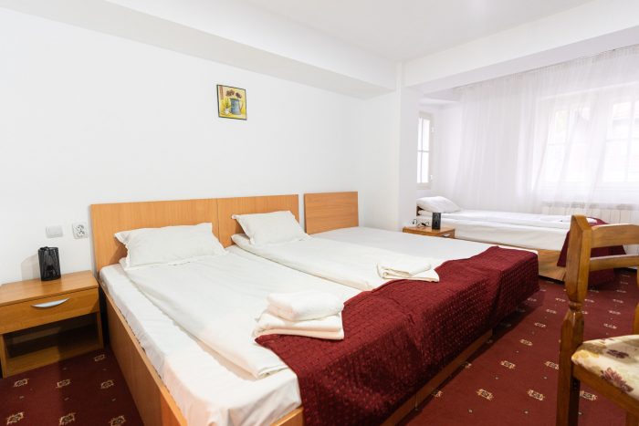 Hotel Mountain Breeze Predeal
